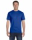 Deep Royal Hanes Adult T-Shirt