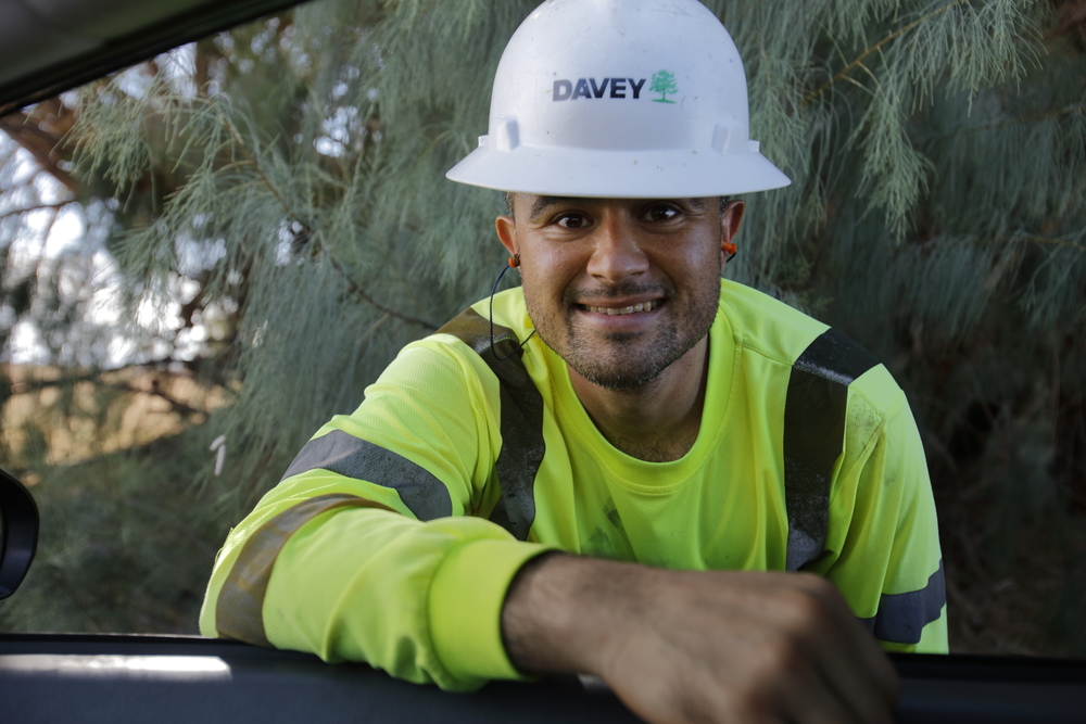 Man wearing hard hat and high visibility apparel