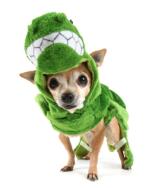 chihuahua t rex costume